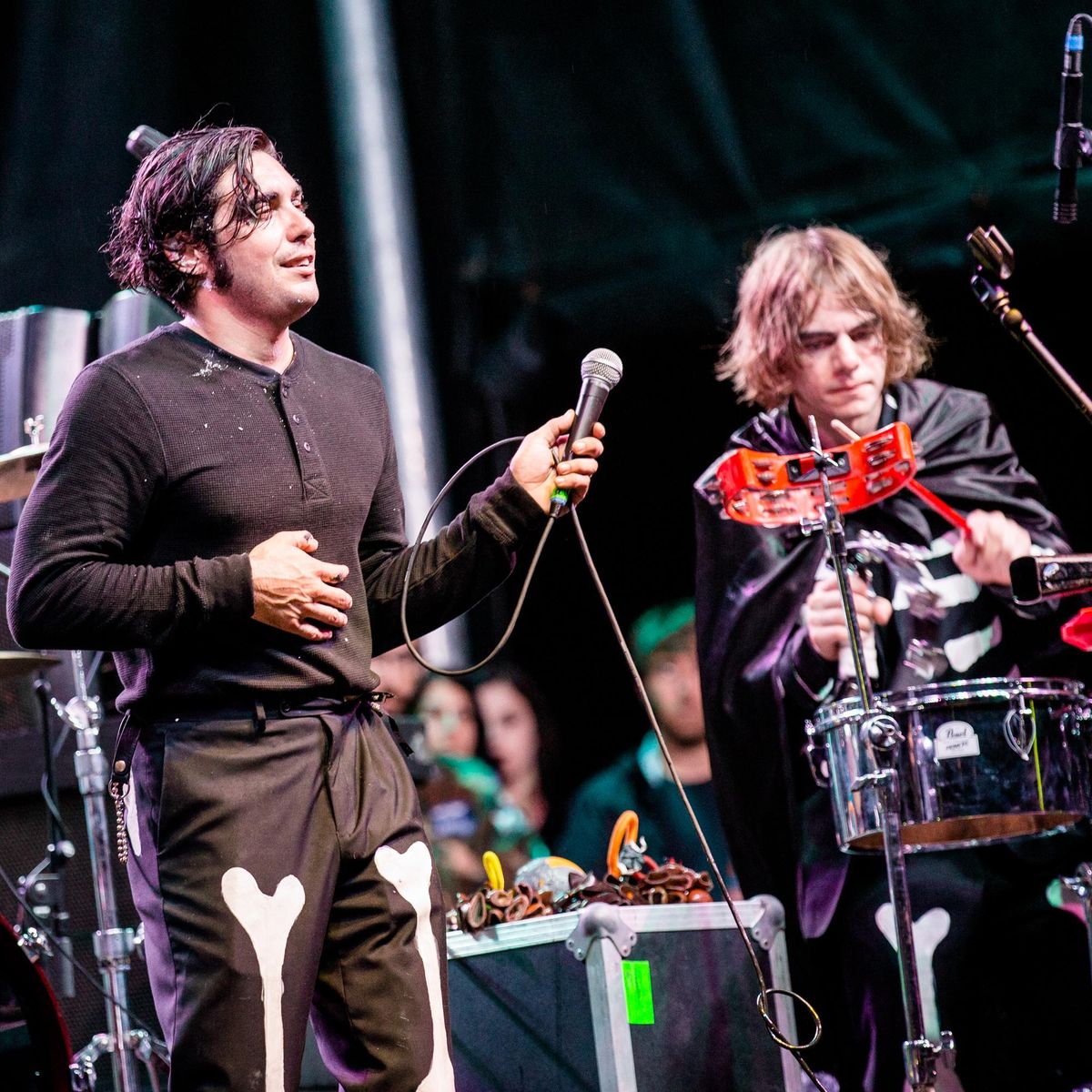 The Growlers
