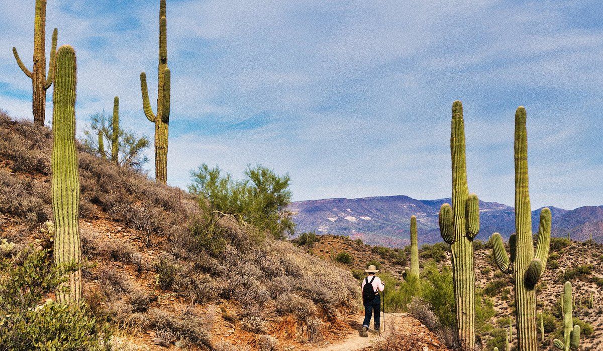 STATE FARM STADIUM TOURS - 12\/17\/2025