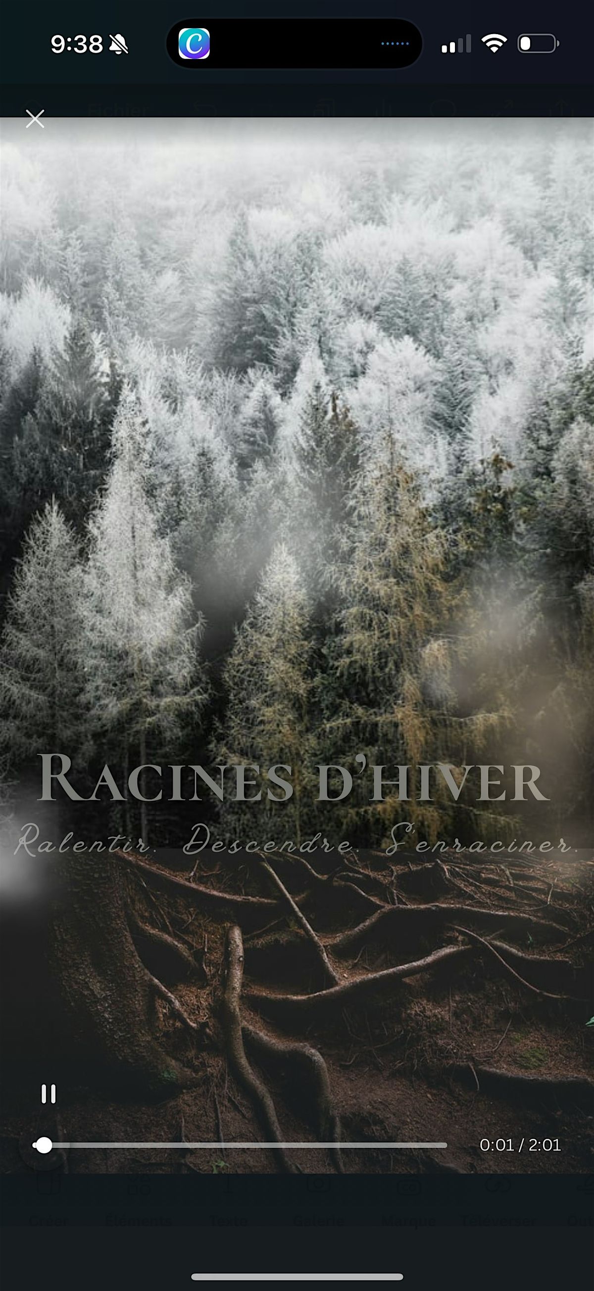 Racines d\u2019hiver - ralentir, descendre, s\u2019enraciner.