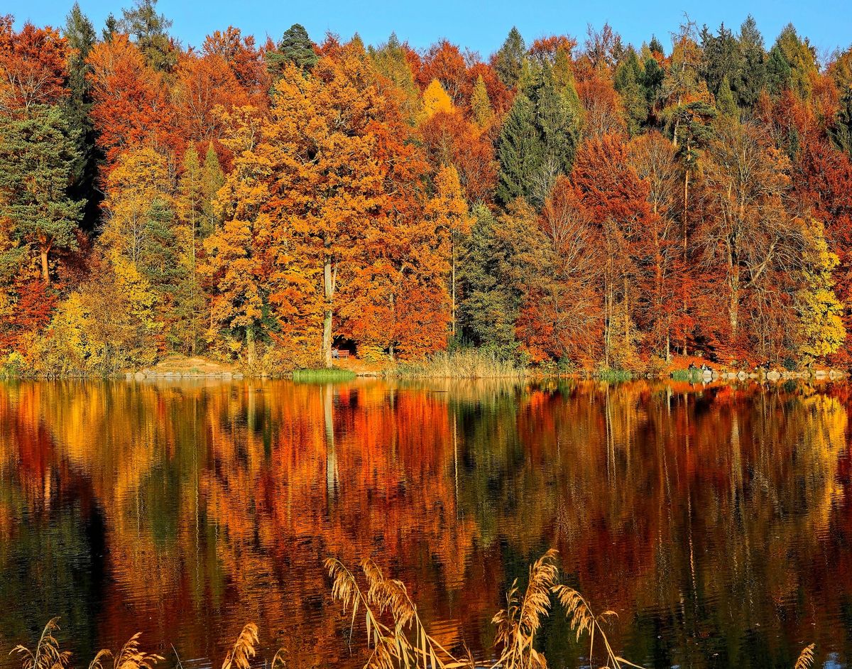 Hobble Creek Fall Social