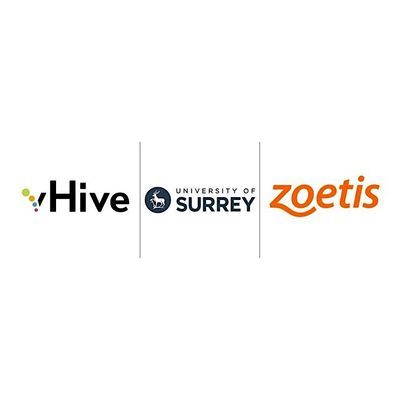 vHIVE, University of Surrey