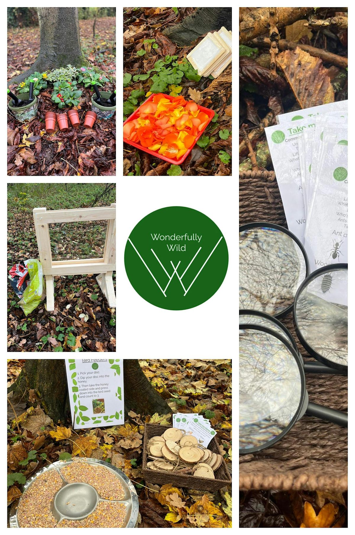 Forest Stay and Play