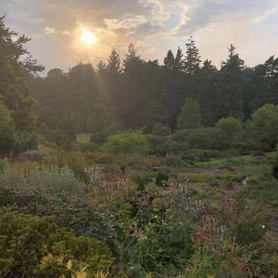 St Andrews Botanic Garden