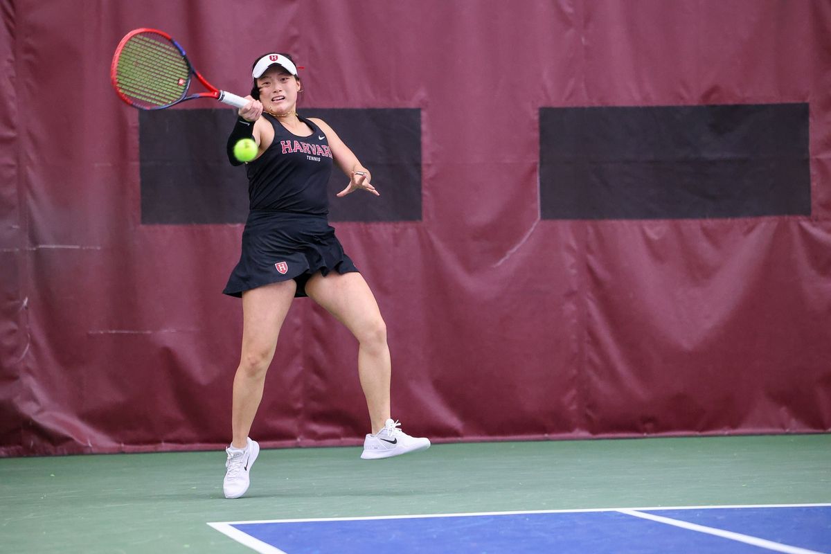 Harvard Crimson at UMass Minutewomen Womens Basketball