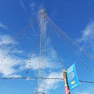 Zilker Holiday Tree