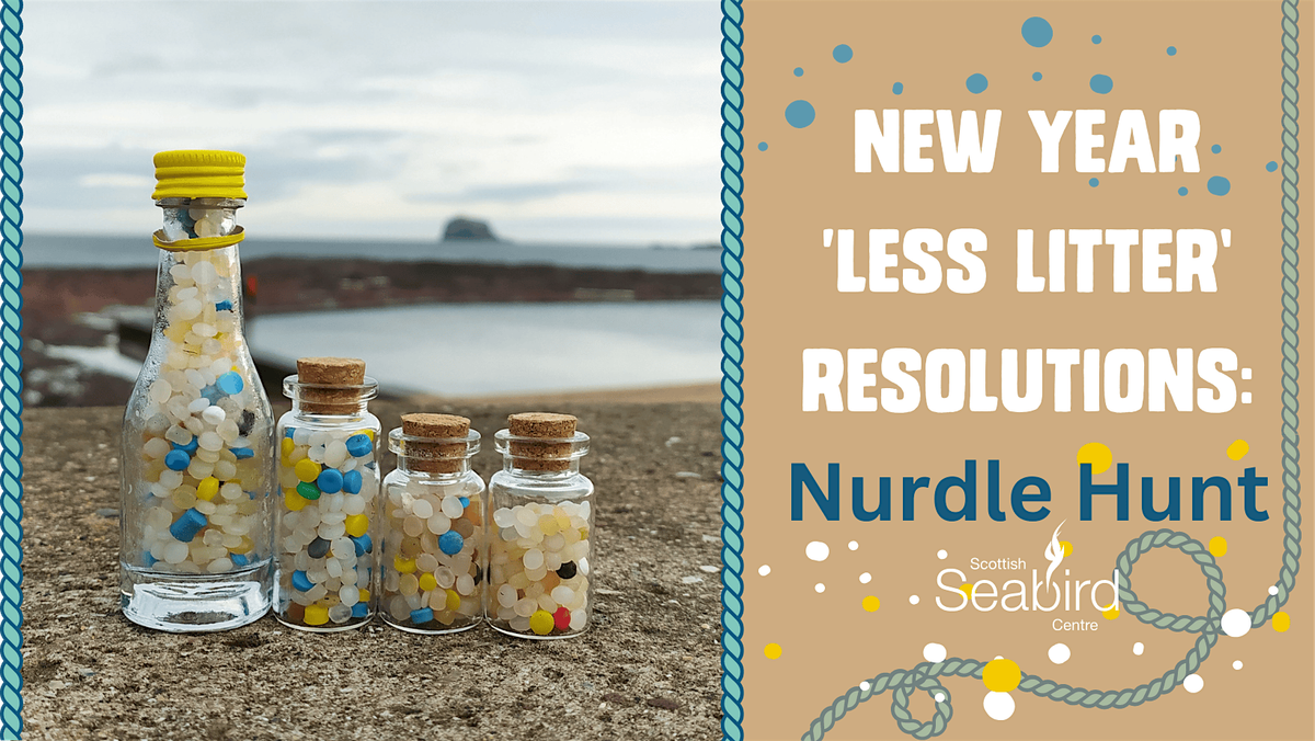 2026 Less Litter Resolution: Nurdle Hunt at North Berwick shore (meet ...