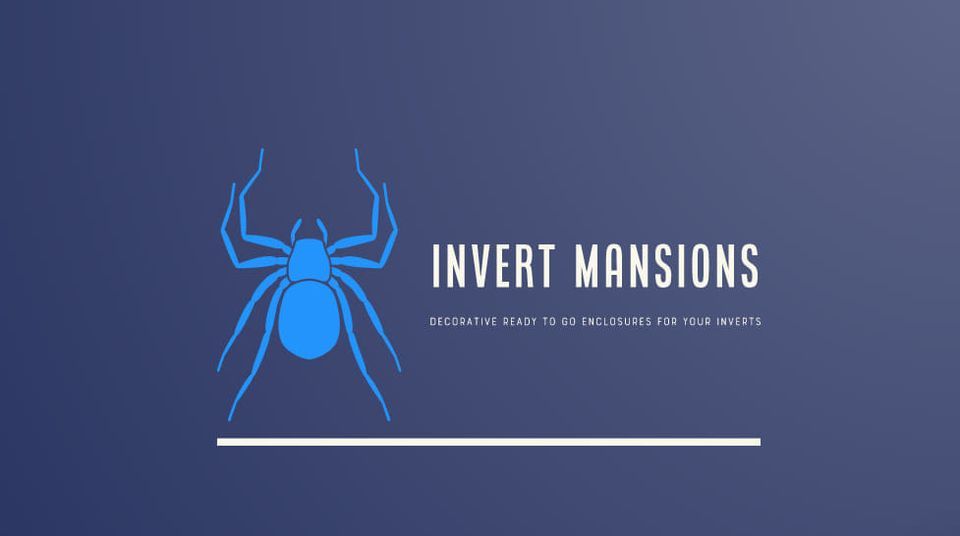 Central Invert Show hosted by Invert Shows UK