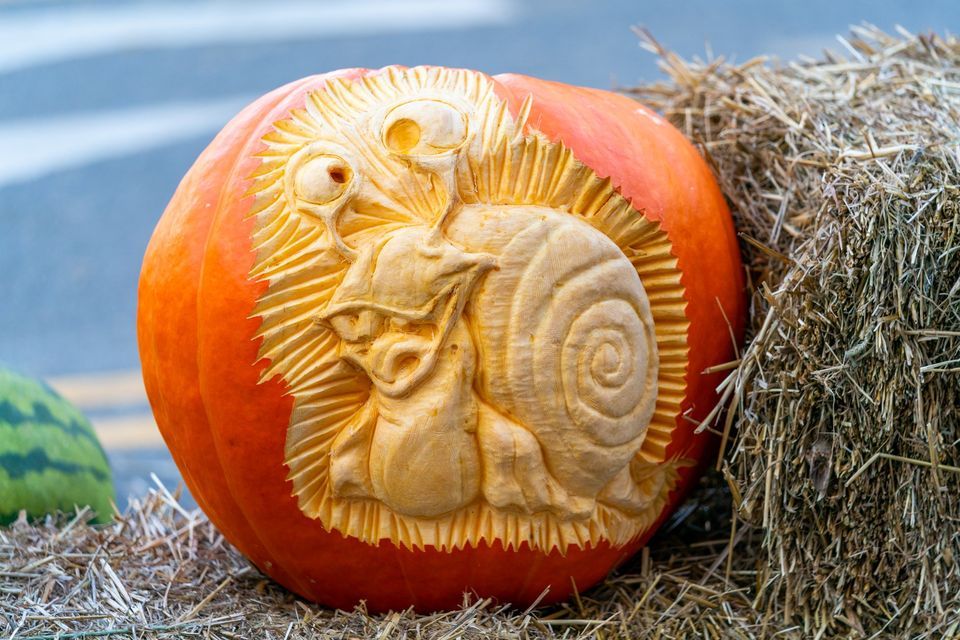 Operation Pumpkin 2022 | High St, Hamilton, OH 45011, United States | October 7 to October 9 Operation Pumpkin 2022 | High St, Hamilton, OH 45011, United States | October 7 to October 9