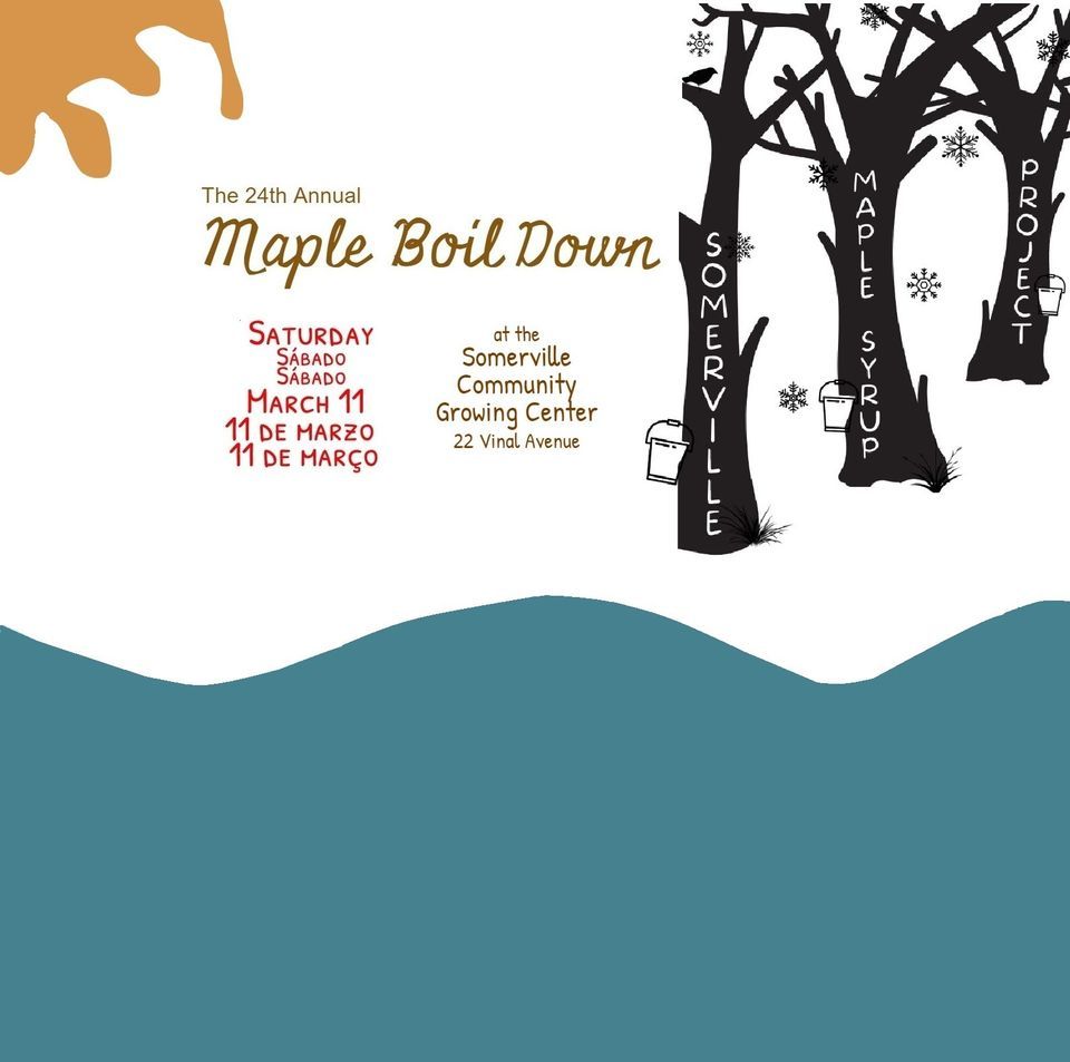 Somerville Maple Syrup Boil Down