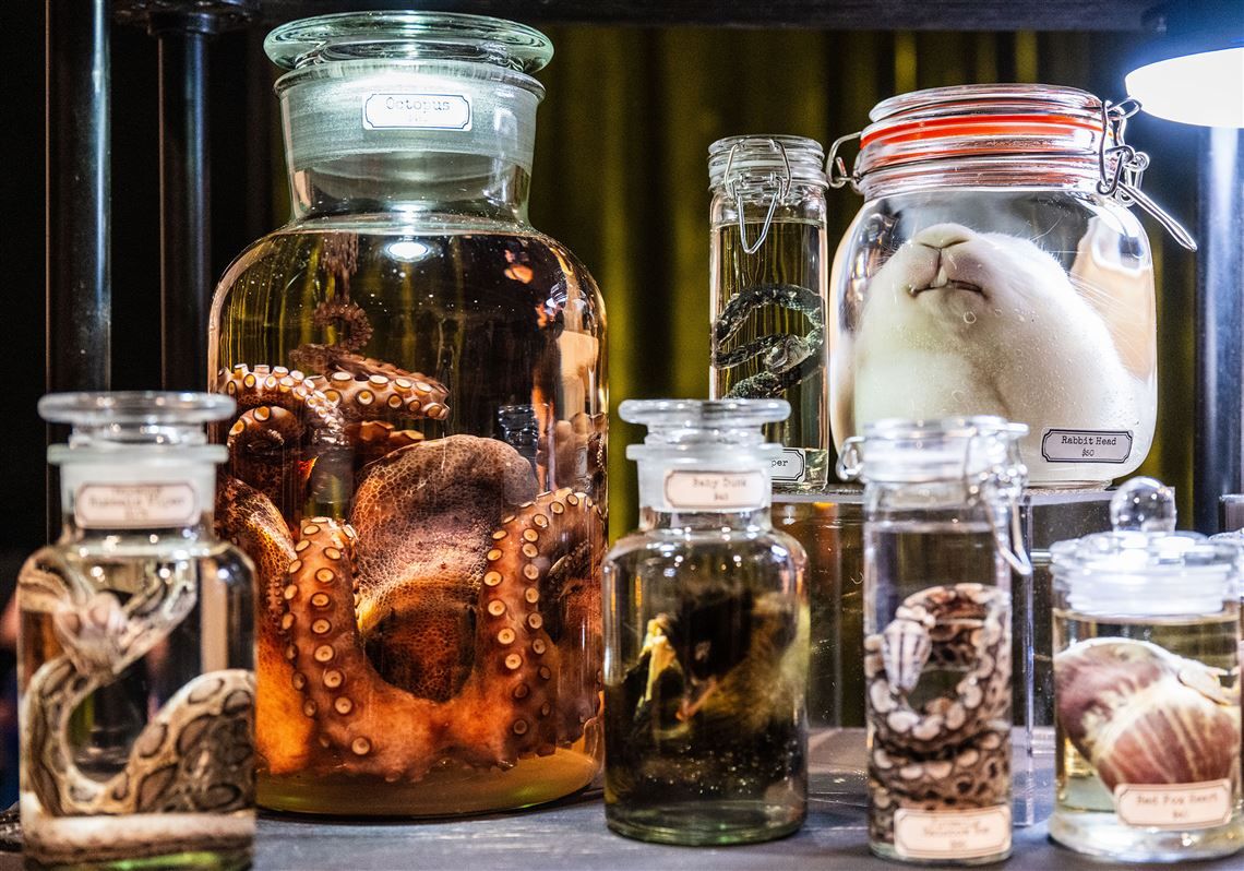 World Oddities Expo at National Western Complex