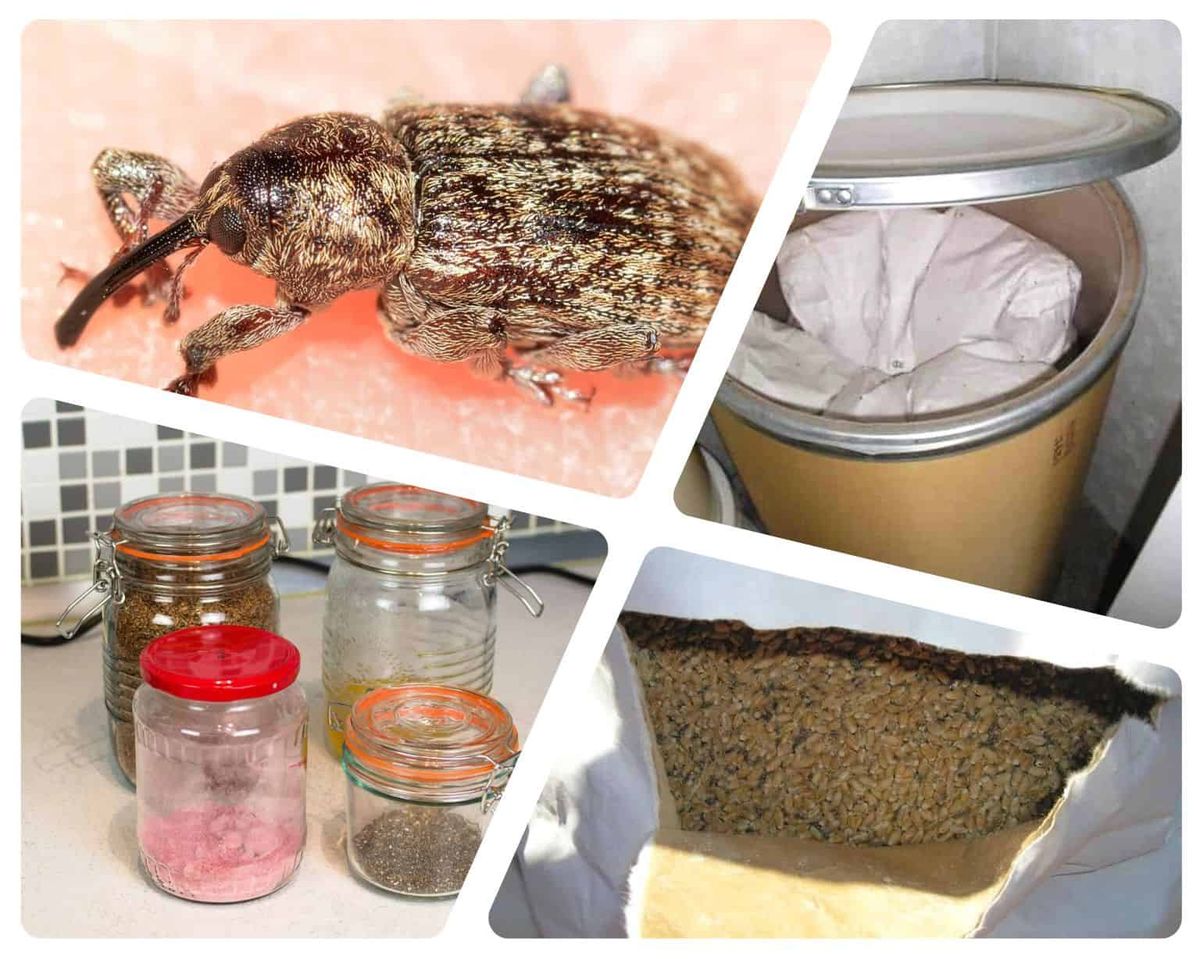 The Droves  My Reply  Long Cold Stare  & Following Seas