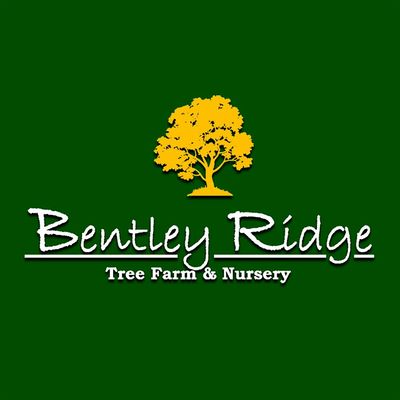 Bentley Ridge Tree Farm & Nursery