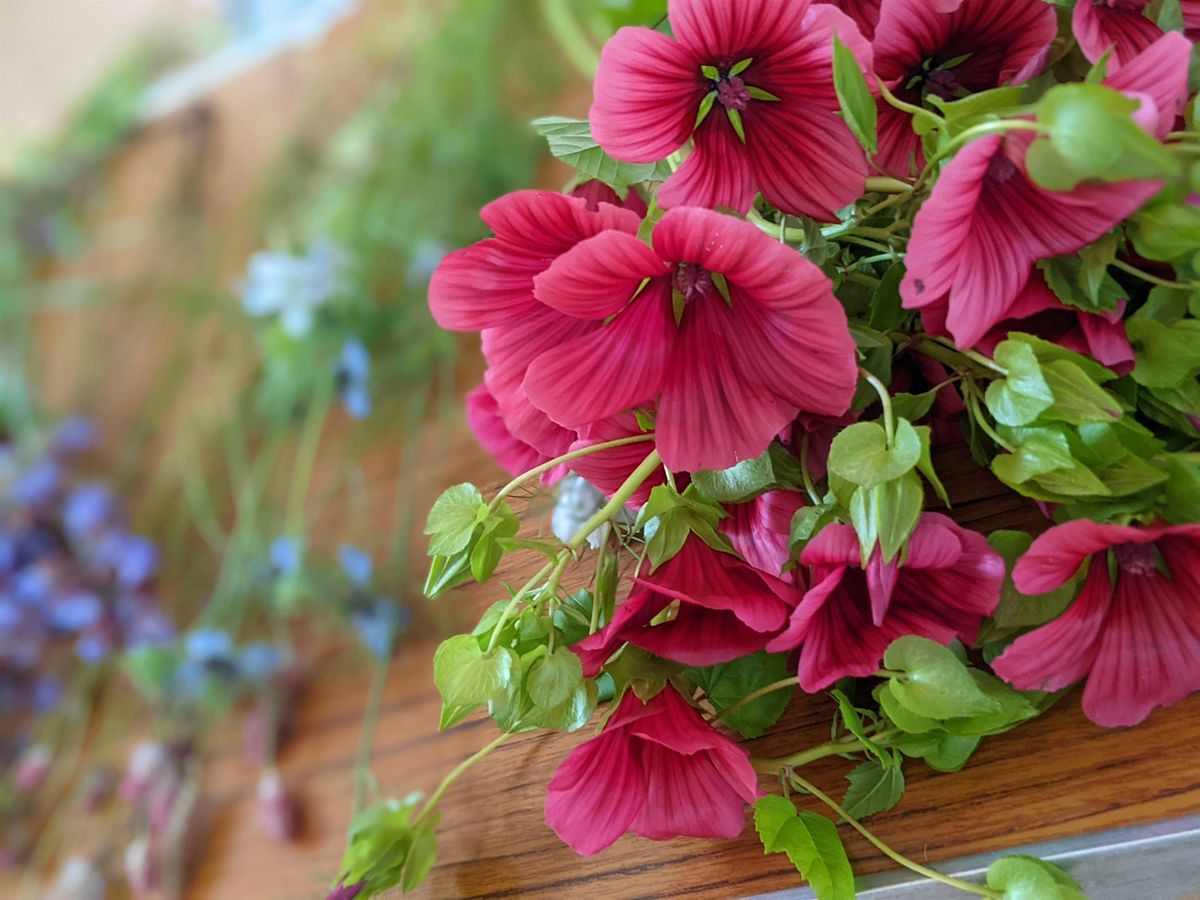Planning your cut flower garden