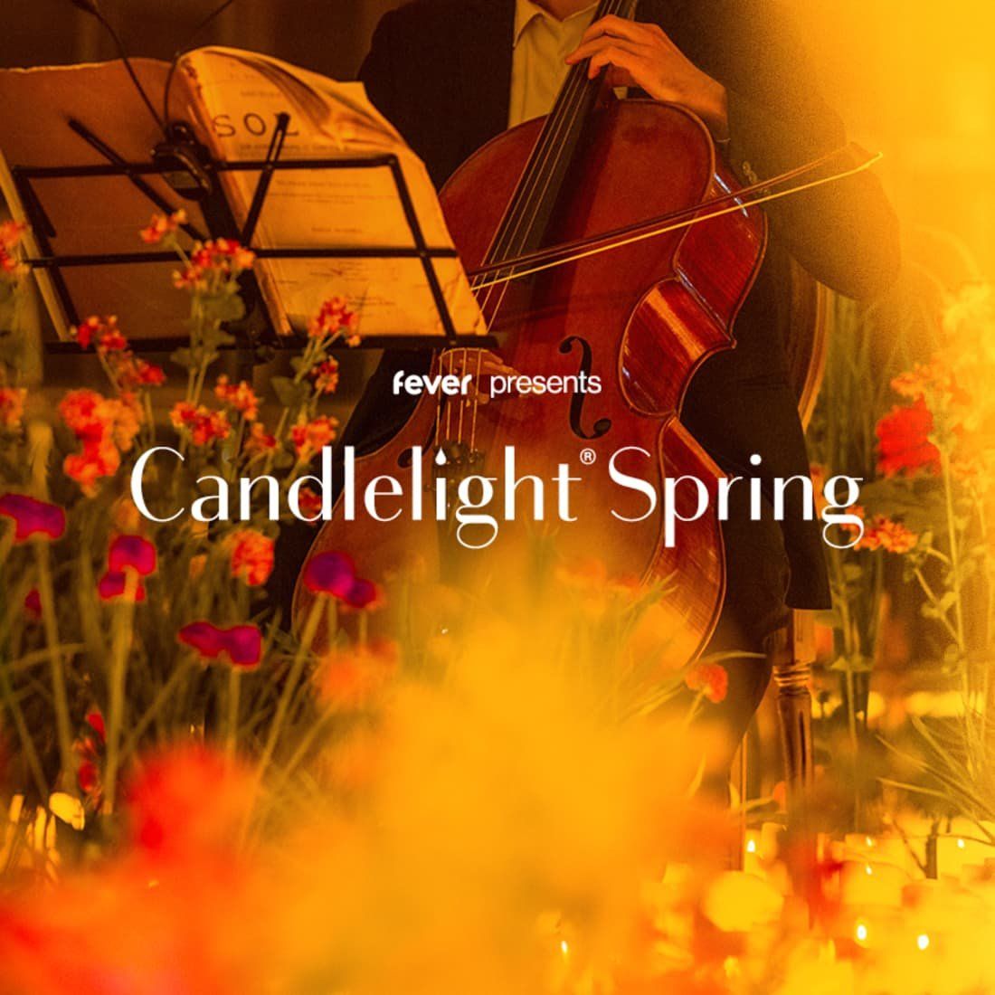 Candlelight: Tribute to Whitney Houston on Strings