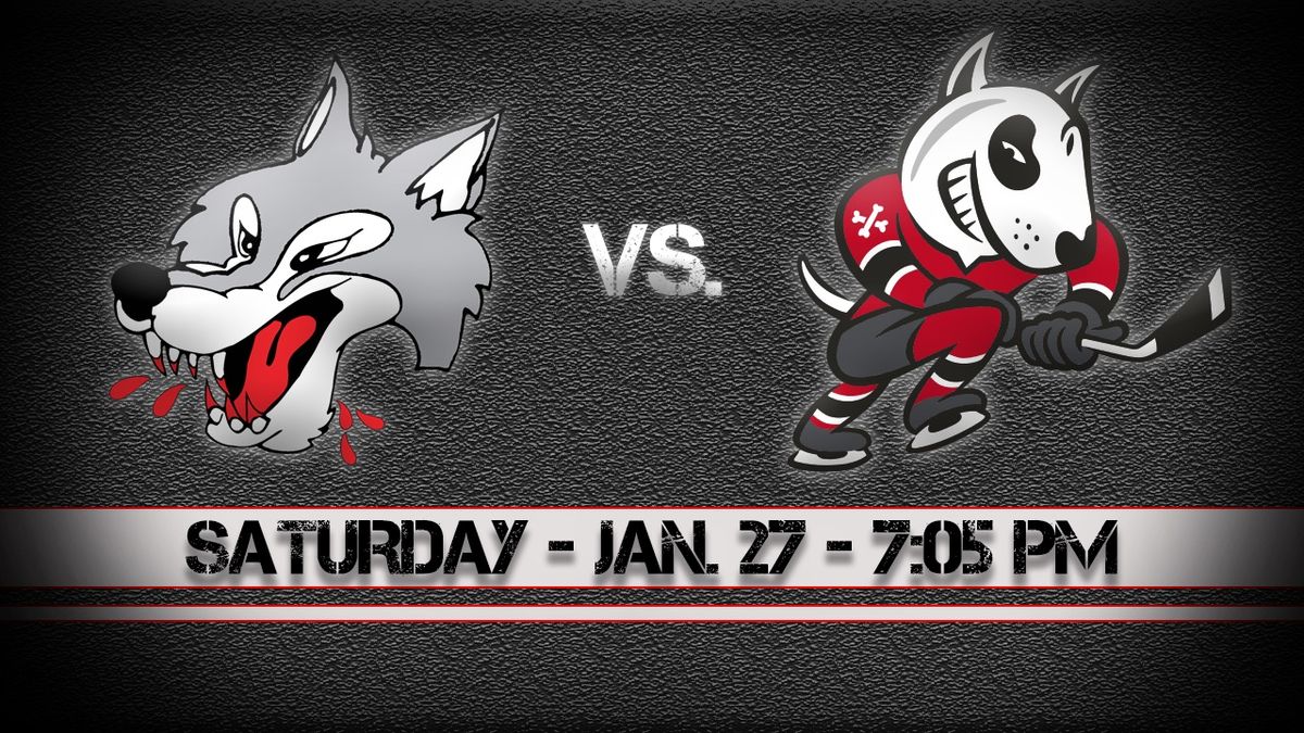 Sudbury Wolves vs. Niagara IceDogs