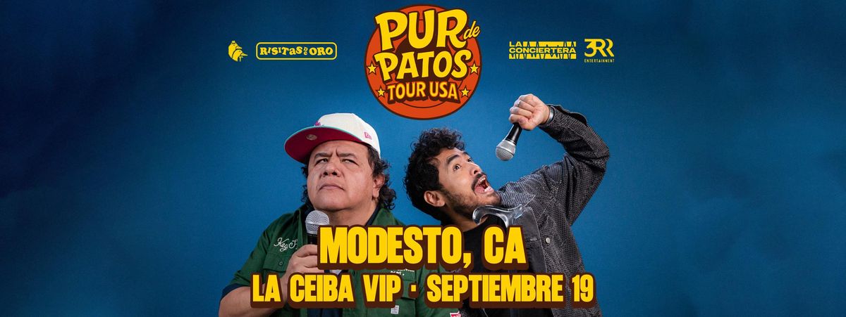 PUR DE PATOS EN MODESTO