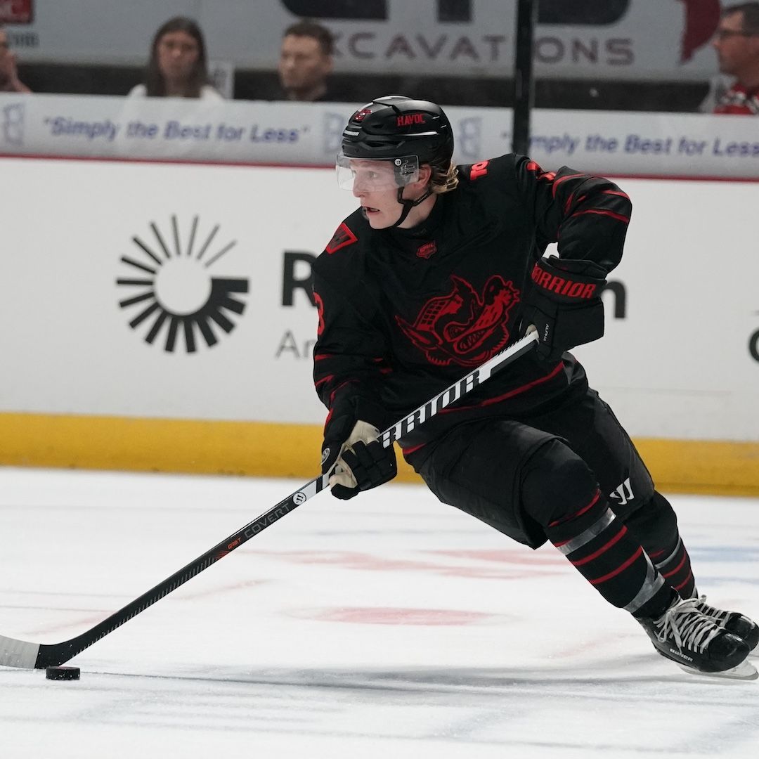 Knoxville Ice Bears at Huntsville Havoc at Propst Arena at the Von Braun Center