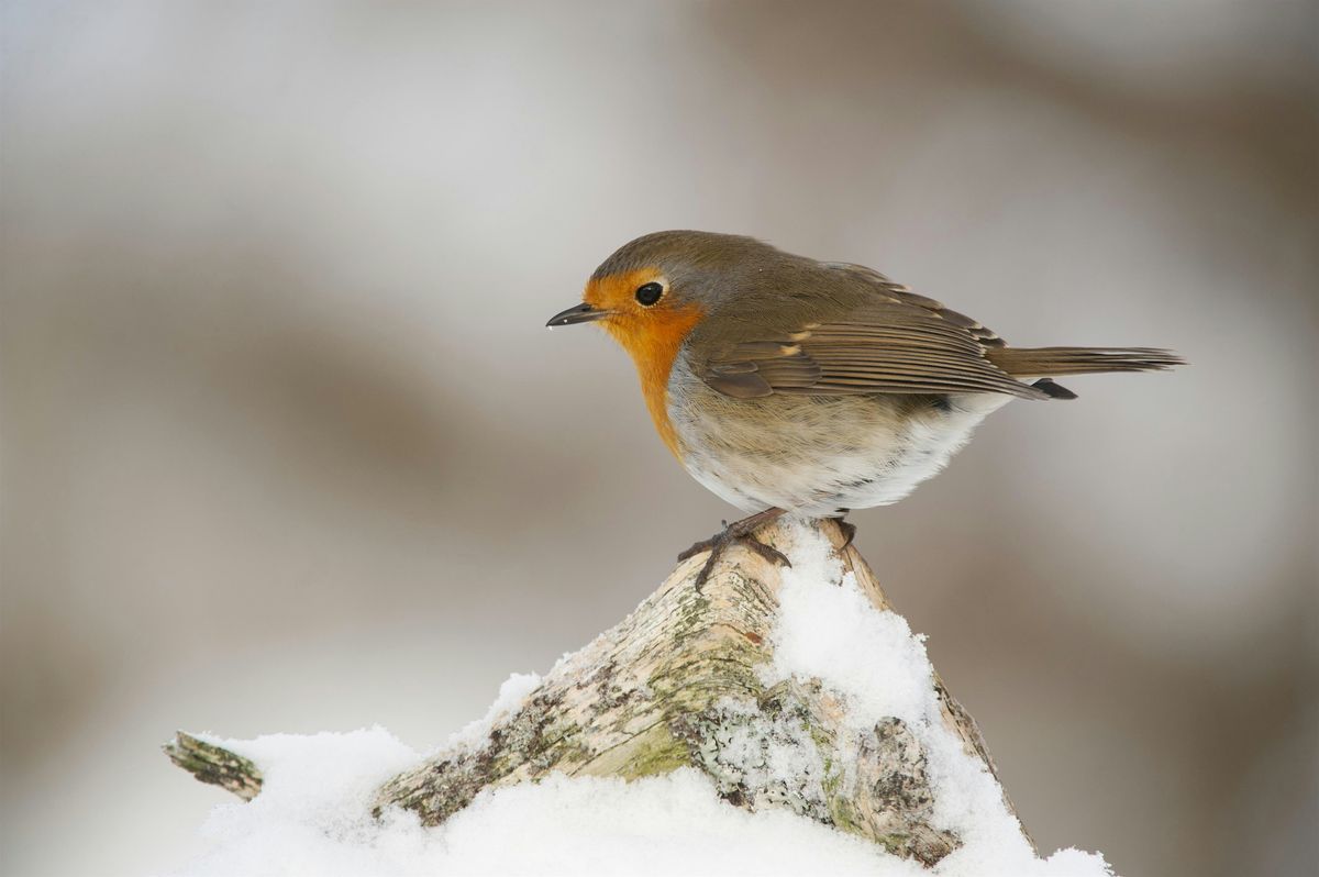 Weetslade winter trail