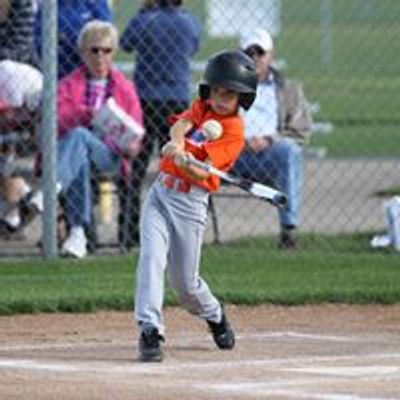 Ankeny Little League Baseball