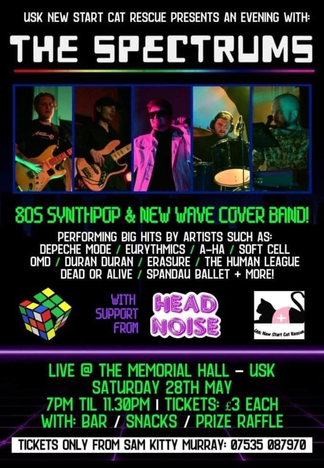 80s evening hosted by Usk New Start Cat Rescue