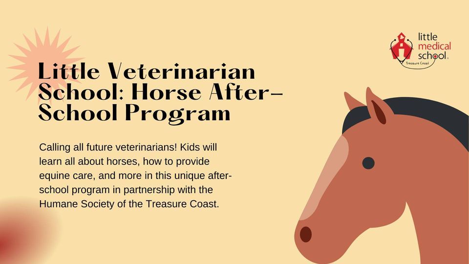 Little Veterinarian School (Horse) After-School Program