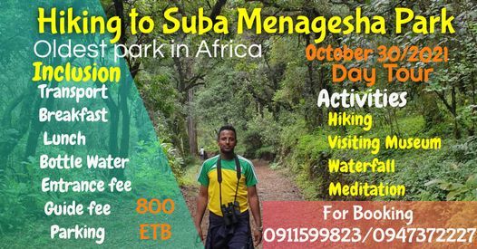 Hiking Suba Menagesha Forest (Oldest Park In Africa )