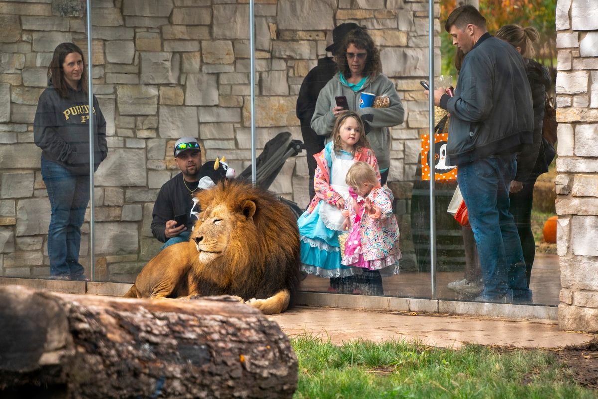 Zoo Boo 2024 500 S Greenlawn Ave, South Bend, IN, United States