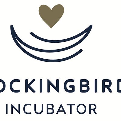 Mockingbird Incubator