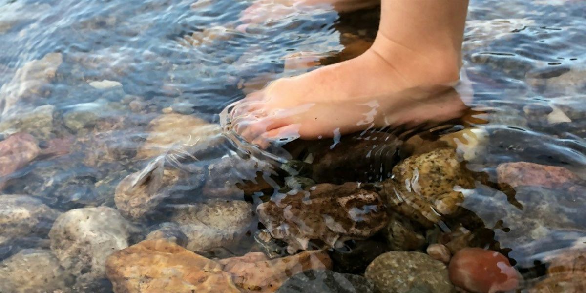 Grounding, a Vancouver workshop with Swami Lalitananda