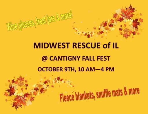 Cantigny Fall Fest