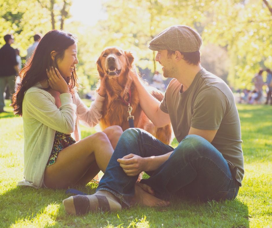 Petco Adoption Event Petco (Dayton) August 13, 2022