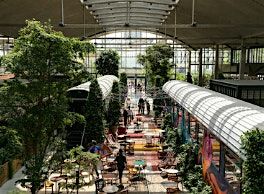 Ap\u00e9ro-preneuriat #22