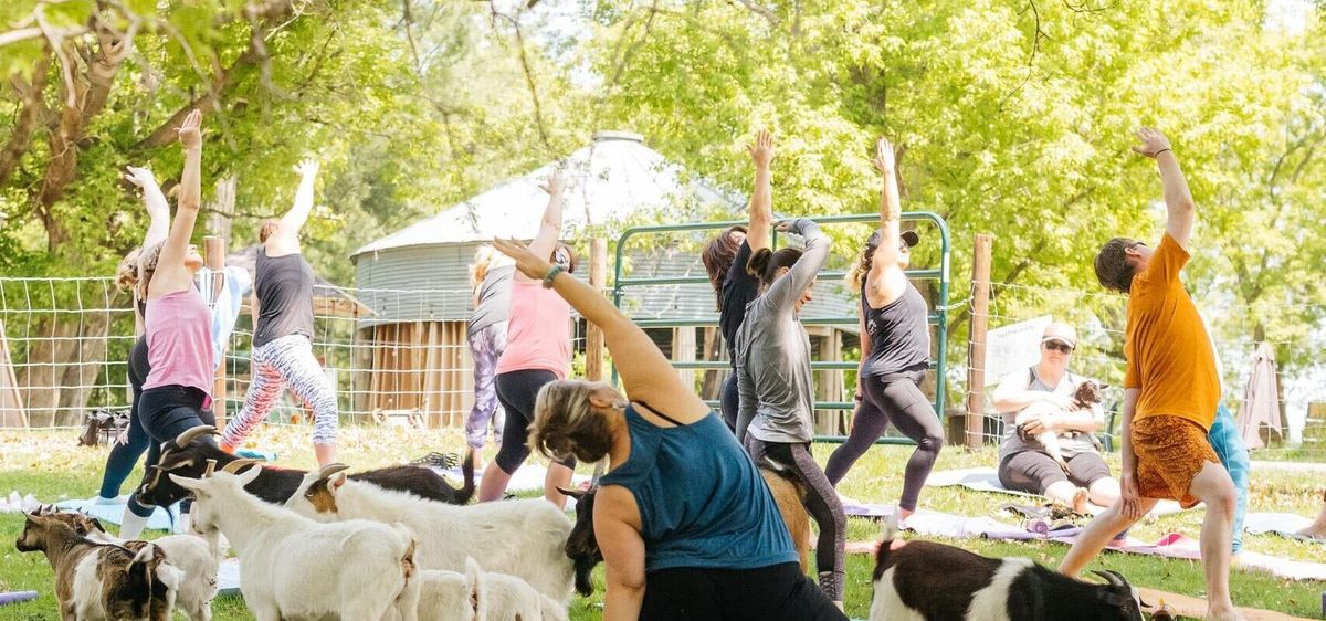 Goat at The Pearl - BC