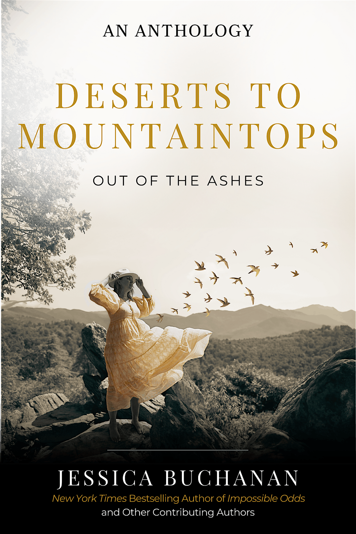 Book Launch! DTM IV: Out of the Ashes Book Signing