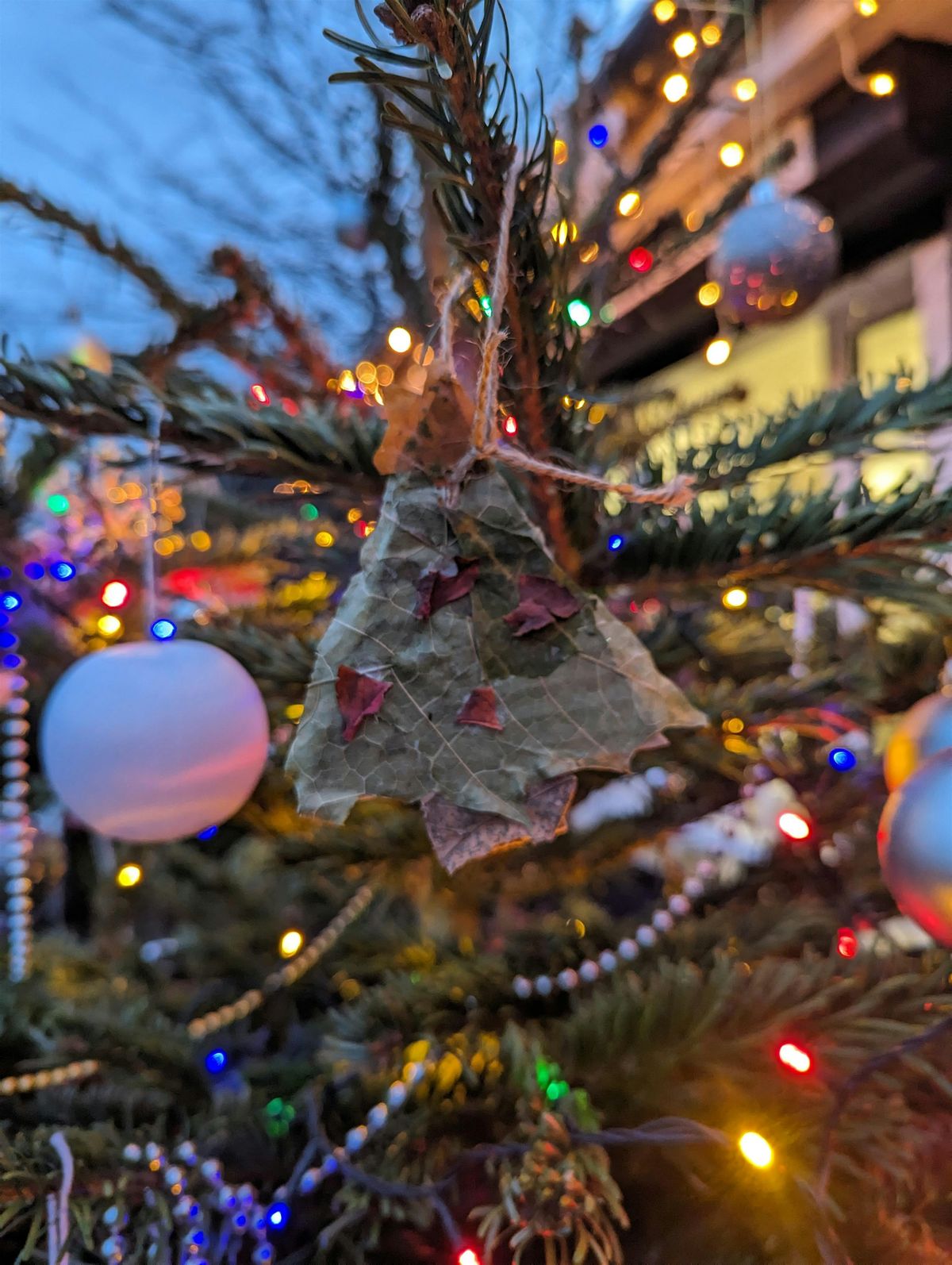 Make Tree Decorations at Alexandra Park