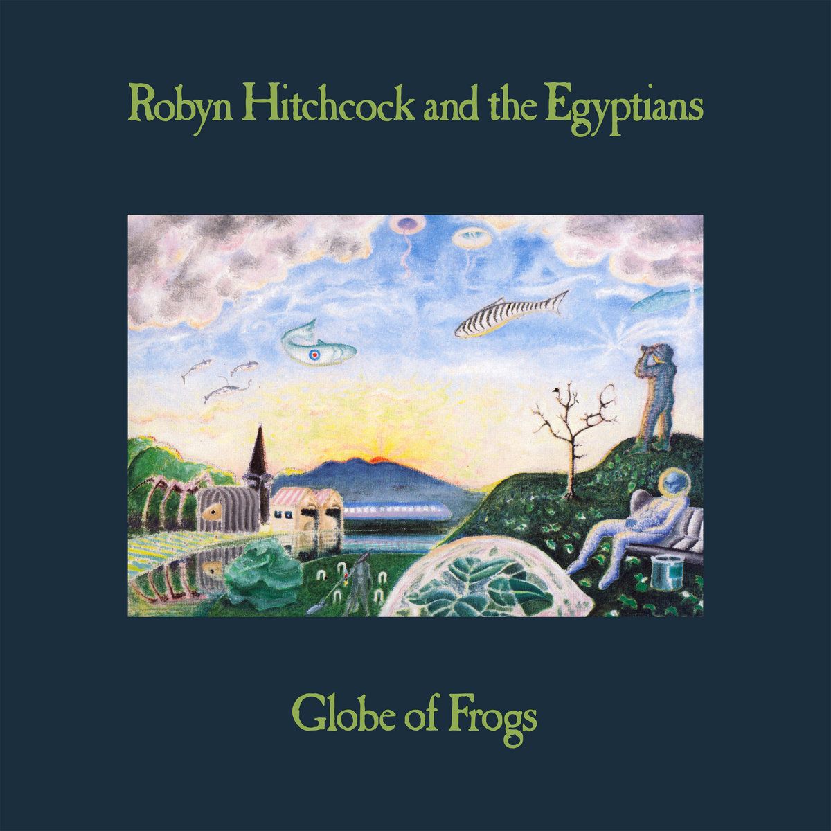 Robyn Hitchcock