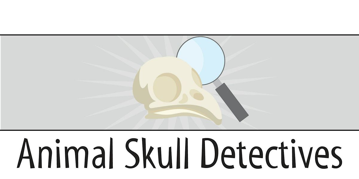 Paleontology: Animal Skull Detectives - Grades 5, 6, and 7