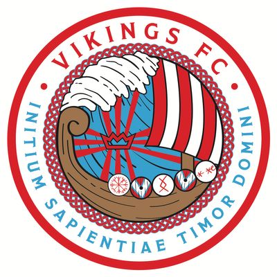 Viking Soccer