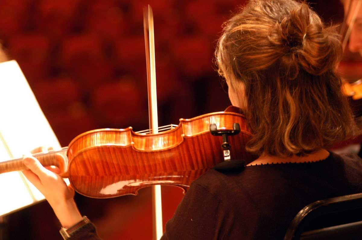 Flint Symphony Orchestra: Enrique Diemecke - Shadow and Light