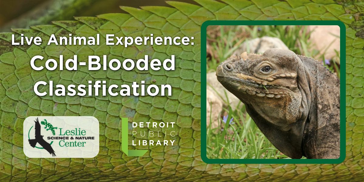 Cold-Blooded Classification: Live Reptiles!