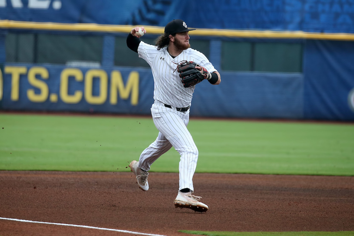 Princeton Tigers at South Carolina Gamecocks Baseball (DH)