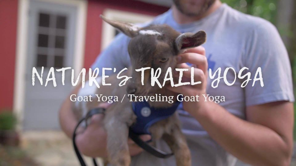 Goat Yoga & Goat Fun! Nature's Trail Yoga, Orland Park, IL August 6