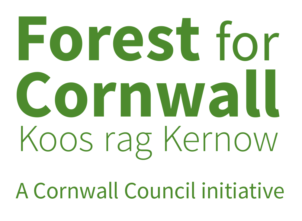 Big Newquay Tree Plant: Help Create Trenance Community Woodland