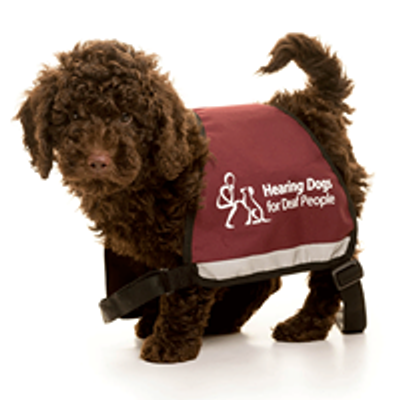 Hearing Dogs for Deaf People