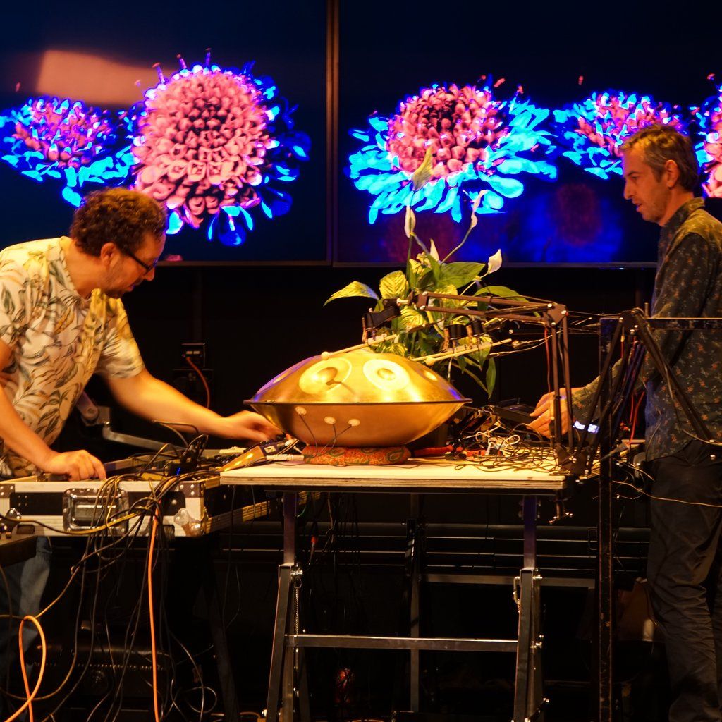 Bionic and the Wires @ The Carlton Club