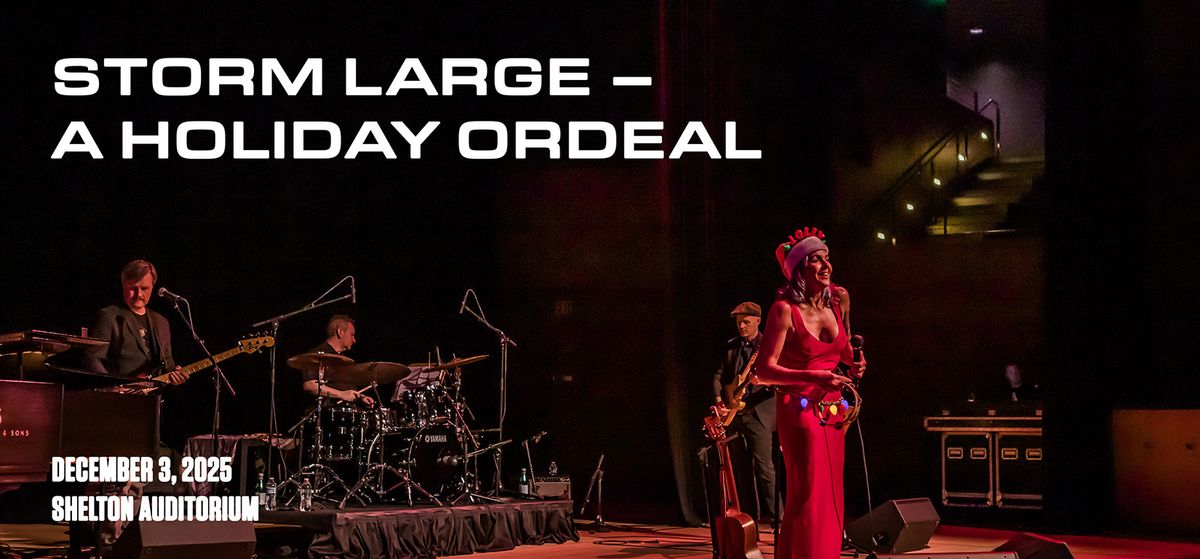 The Storm Large Holiday Ordeal
