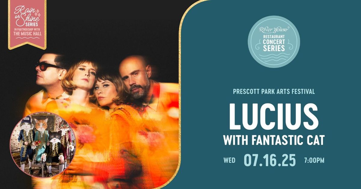 Parking Fantastic Cat