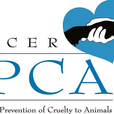 Placer SPCA