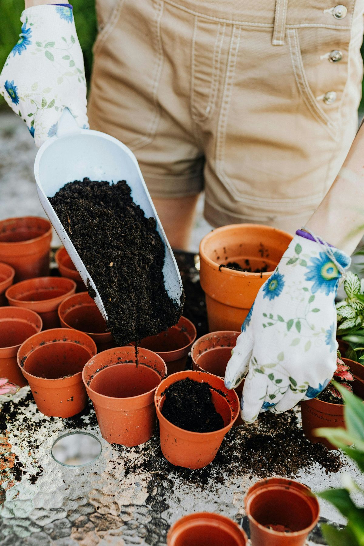 Afterschool Garden Club
