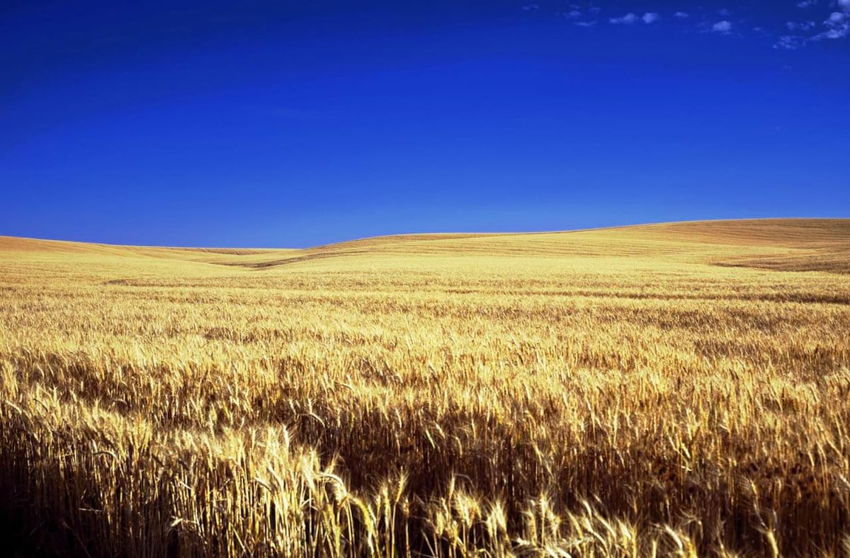 Houston Grand Opera: Of Mice and Men